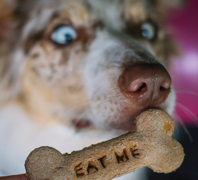 Homemade Dog Treats